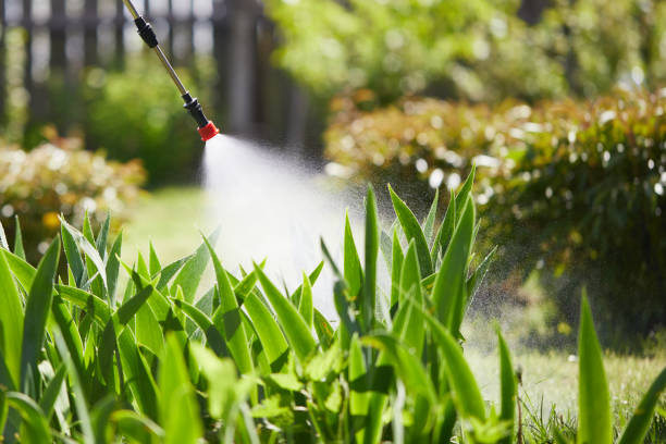 Tamper-Resistant Bait Stations for Rodents in Amesti