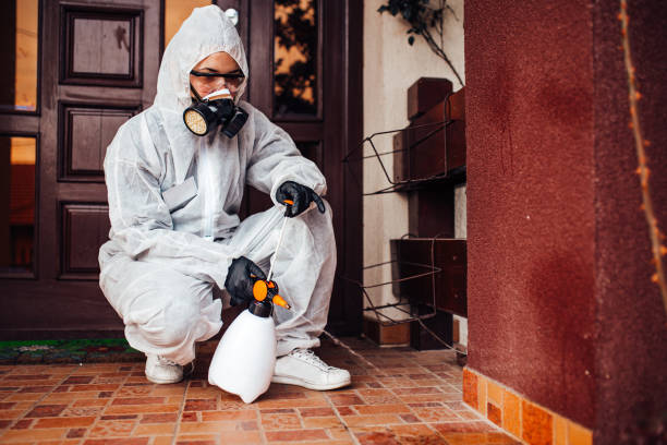 Attic and Crawl Space Rodent Treatment in Amesti